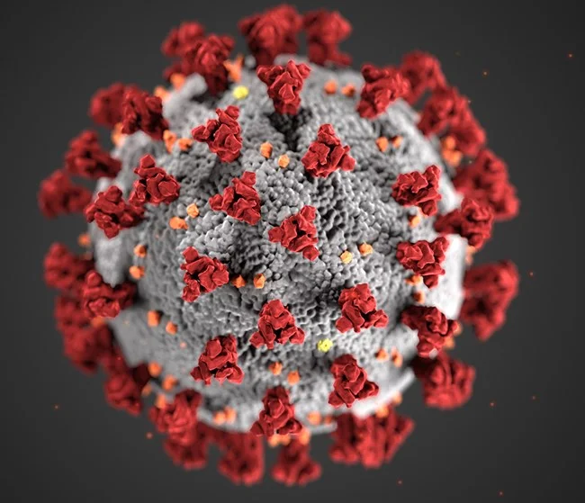 Government urged to share more coronavirus data