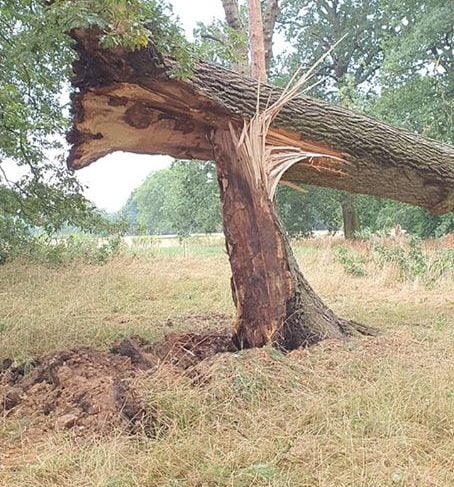 Safety fears after Watford park hit by storms