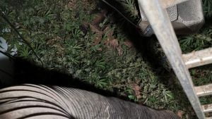 Officers uncover underground drug bunker