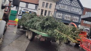 Christmas tree grimsby
