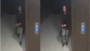 Sabina Nessa murder