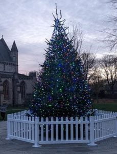 Christmas tree vandalism