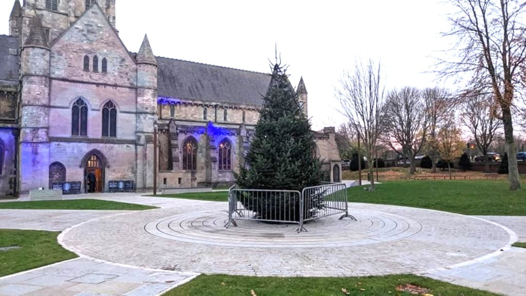 When and where will this years Christmas tree go? Gi Media